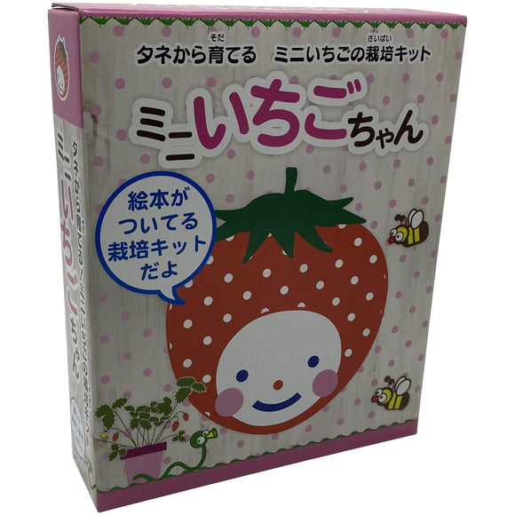 [ Nagakura ] mini strawberry cultivation