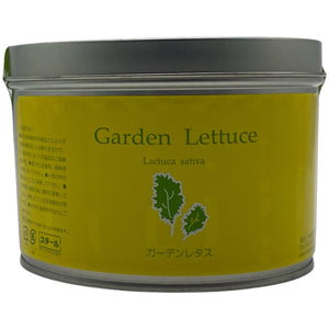 [ Nagakura ] garden lettuce cultivation